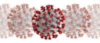 Electron microscope view of COVID-19 virus